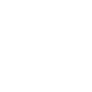 Fire Icon