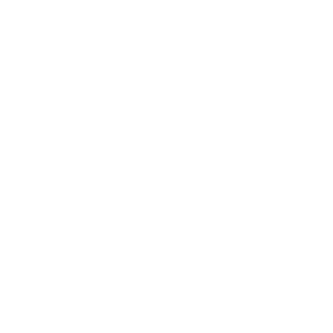 Light bulb icon